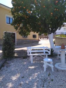 Casa Celeste Portugal