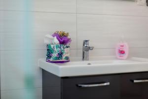 Three-Bedroom Apartment room in Apartments Kudec