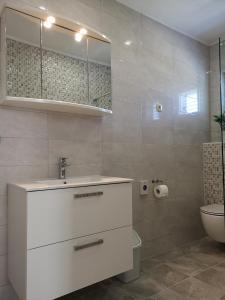 Apartman Darica Vid 