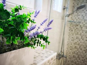 Apartman Darica Vid 