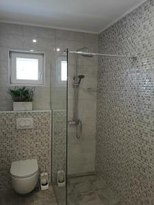 Apartman Darica Vid 