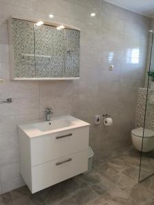 Apartman Darica Vid