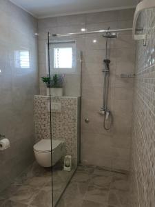 Apartman Darica Vid