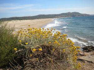 Ampio appartamento Sulcis Iglesiente Sardegna