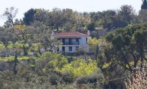 Alikias Country House Skopelos Greece