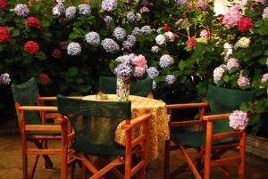 Tasoula Parselia Studios Nisos-Samothraki Greece