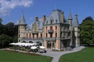 Schloss Schadau - Swiss Historic Hotel - 锡格里斯维尔