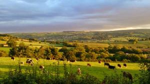 Redhill House Bristol Airport, Lye Hole Lane, Redhill, North Somerset, BS40 5TD, England.