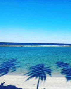 Nui Supreme Beach Muro Alto Porto de Galinhas