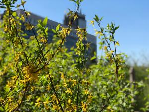 Juno Apartman Vendégház