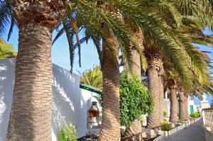 Ferienwohnung PRESIDENTE 2 - Pool - Glasfaserinternet - Costa Calma