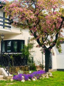 Pilot's Manor - Airport Villa 