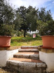 Villa L'Oleandro img41