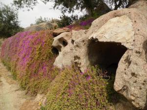 Villa L'Oleandro img28