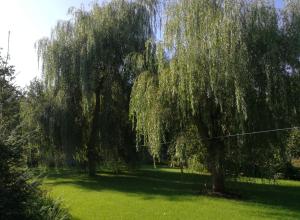 Villa Eden