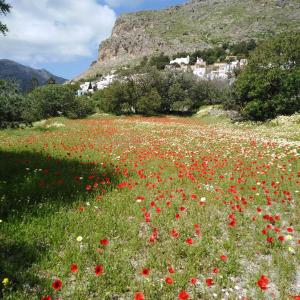 Tilos Island house Tílos Greece