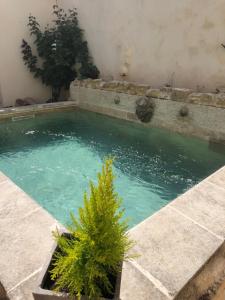 B&B / Chambres d'hotes La Bastide : photos des chambres