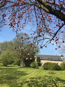 B&B / Chambres d'hotes Kericouette et Delices : photos des chambres