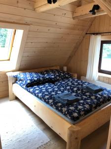 Apartament Zbójecki