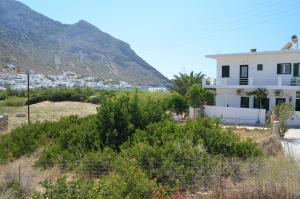 Oasis Sifnos Greece