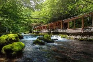 Resort Ujevara e Drinit - 佩奇