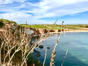 West Sardinia Apartments img27