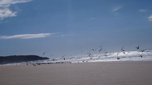 Casa Playa de Rostro