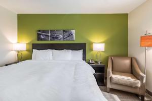 King Room - Non-Smoking room in Sleep Inn & Suites Mt. Hope near Auction & Event Center