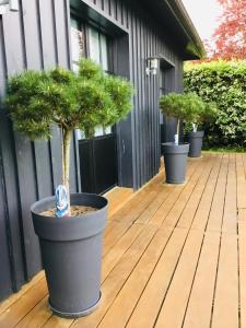 Maisons d'hotes Chambres d'hote O Bois Plage : Chambre Double - Vue sur Piscine