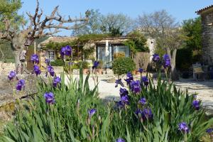 Maisons de vacances La petite Galejade : photos des chambres