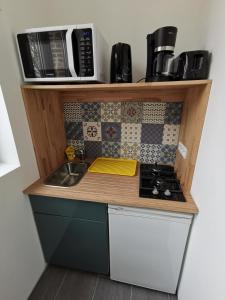 Appartements Manoir des Carreaux : Studio