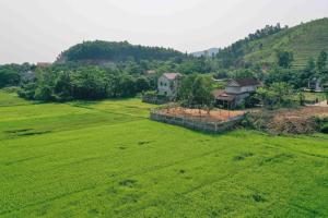 Phong Nha Rice Field Homestay