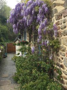 B&B / Chambres d'hotes Au Bon Accueil : photos des chambres