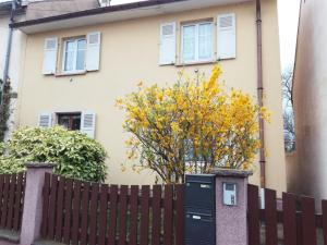 Appartements Appartement avec jardin a Colmar : photos des chambres