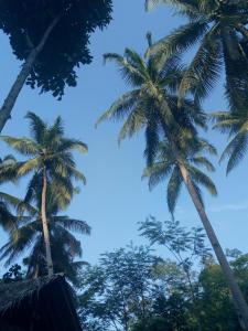 RNV Eco Resort Bungalows