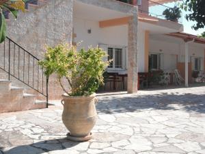 The Green Home Ilia Greece