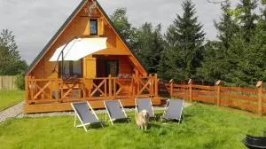 Domki nad Narwią - Zatory