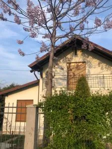 Casa Andrei - Limanu