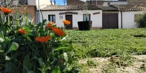 La mimosa - Carcastillo