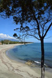 Appartements Sognu di Mare - Plage, piscine, farniente : photos des chambres