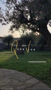 Casa da Cisterna Velha Mendiga