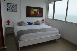 palmetto frente al mar