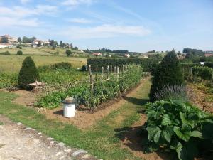 B&B / Chambres d'hotes Chateau des Aiguilles : photos des chambres