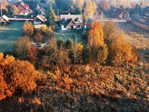 Białowieski Dworek do 10 Gości