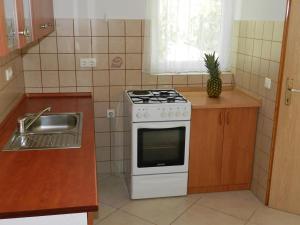 Apartment Sveti Vid 16955a