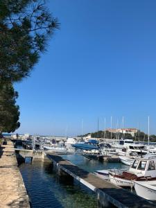 Sea breeze studio