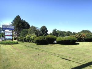 Majestic Regency Resort