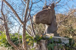 B&B / Chambres d'hotes Haras Picard du Sant : photos des chambres