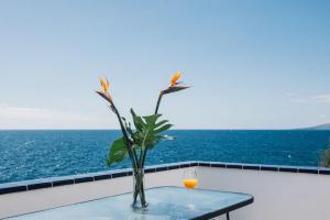 Canary casita next to the Atlantic Ocean