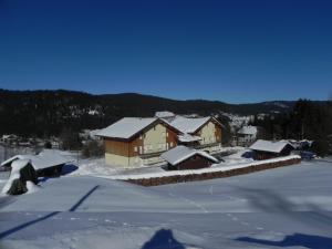 Appartements APPT 3* LE HAUT DES LACS : Appartement avec Terrasse